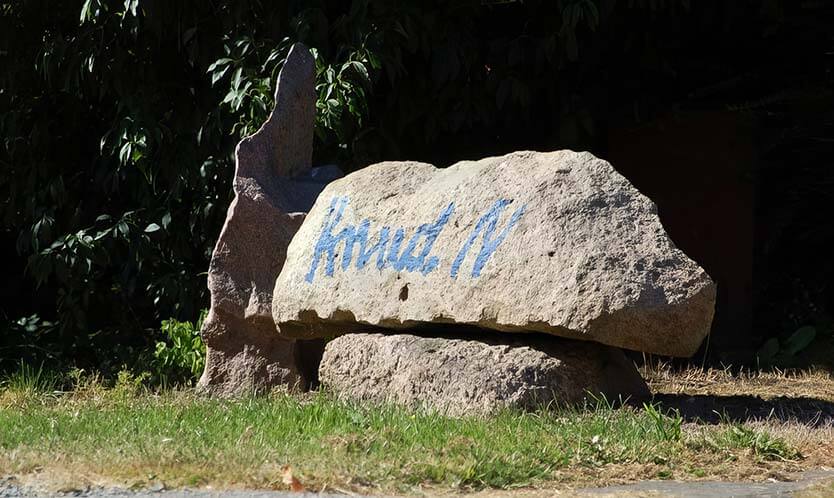 nielsens-the-beginning-min